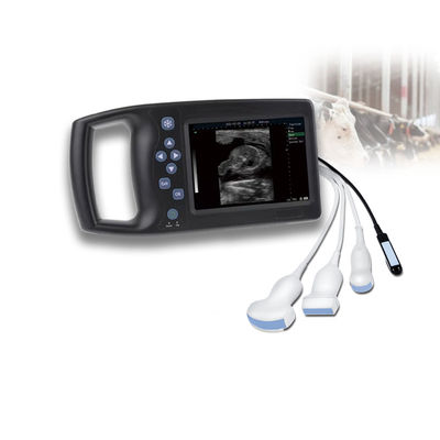 품질  Veterinary Ultrasound Probe Medical Equipment Good Support Veterinary Ultrasound Scanner Laptop Ultrasound Sonoscape Livestock Price 공장